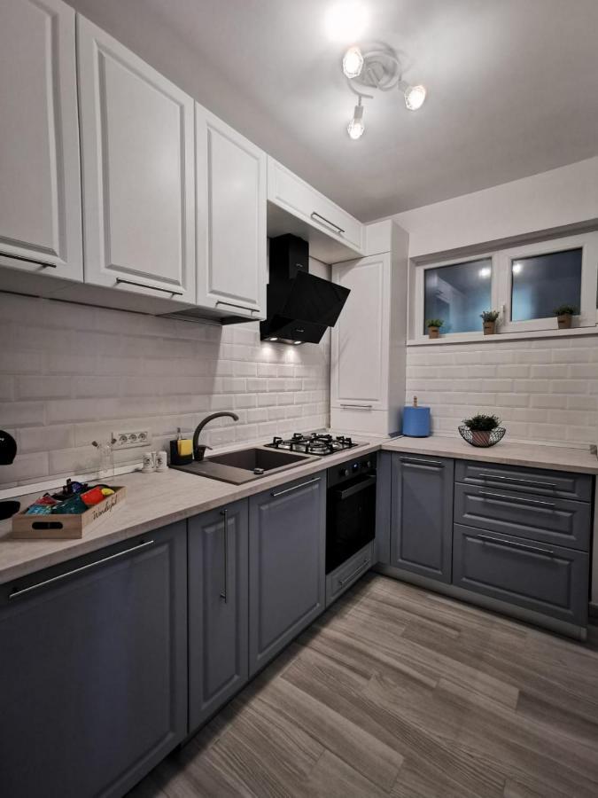 Karra Residence Timisoara - Autorizat Ministerul Turismului エクステリア 写真