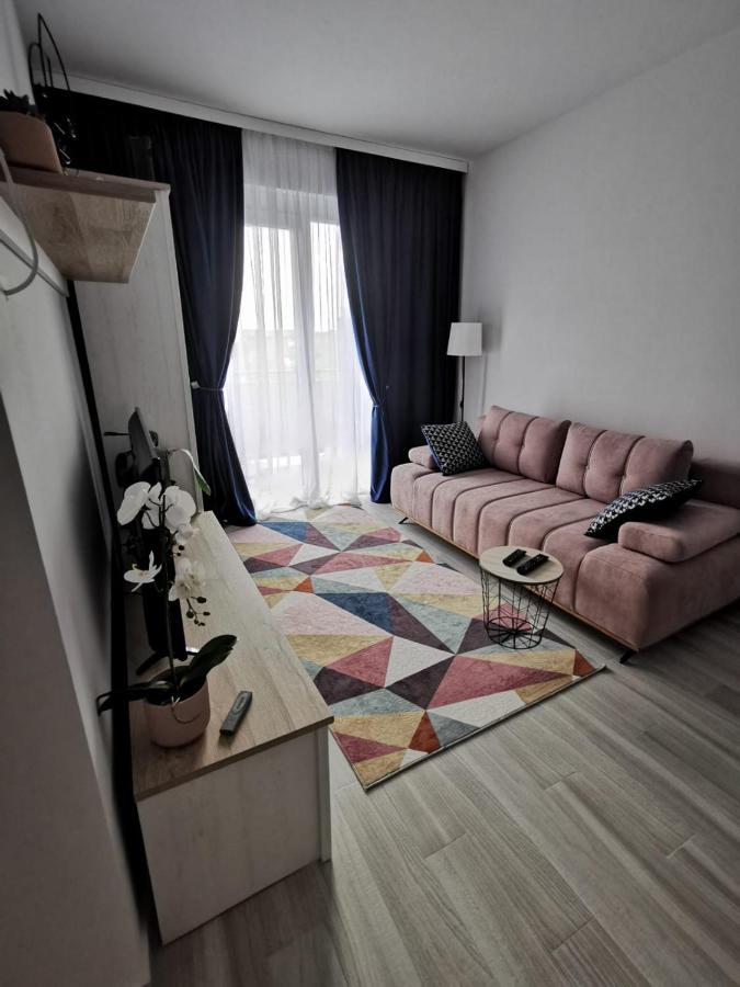 Karra Residence Timisoara - Autorizat Ministerul Turismului エクステリア 写真