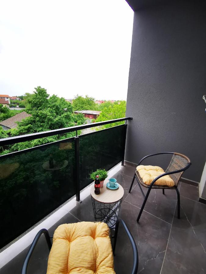 Karra Residence Timisoara - Autorizat Ministerul Turismului エクステリア 写真