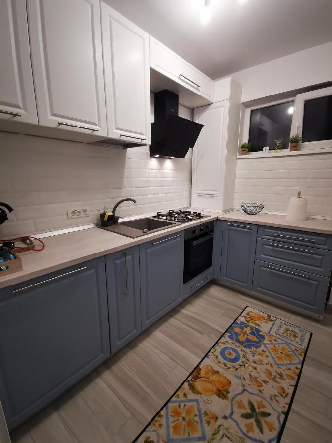 Karra Residence Timisoara - Autorizat Ministerul Turismului エクステリア 写真